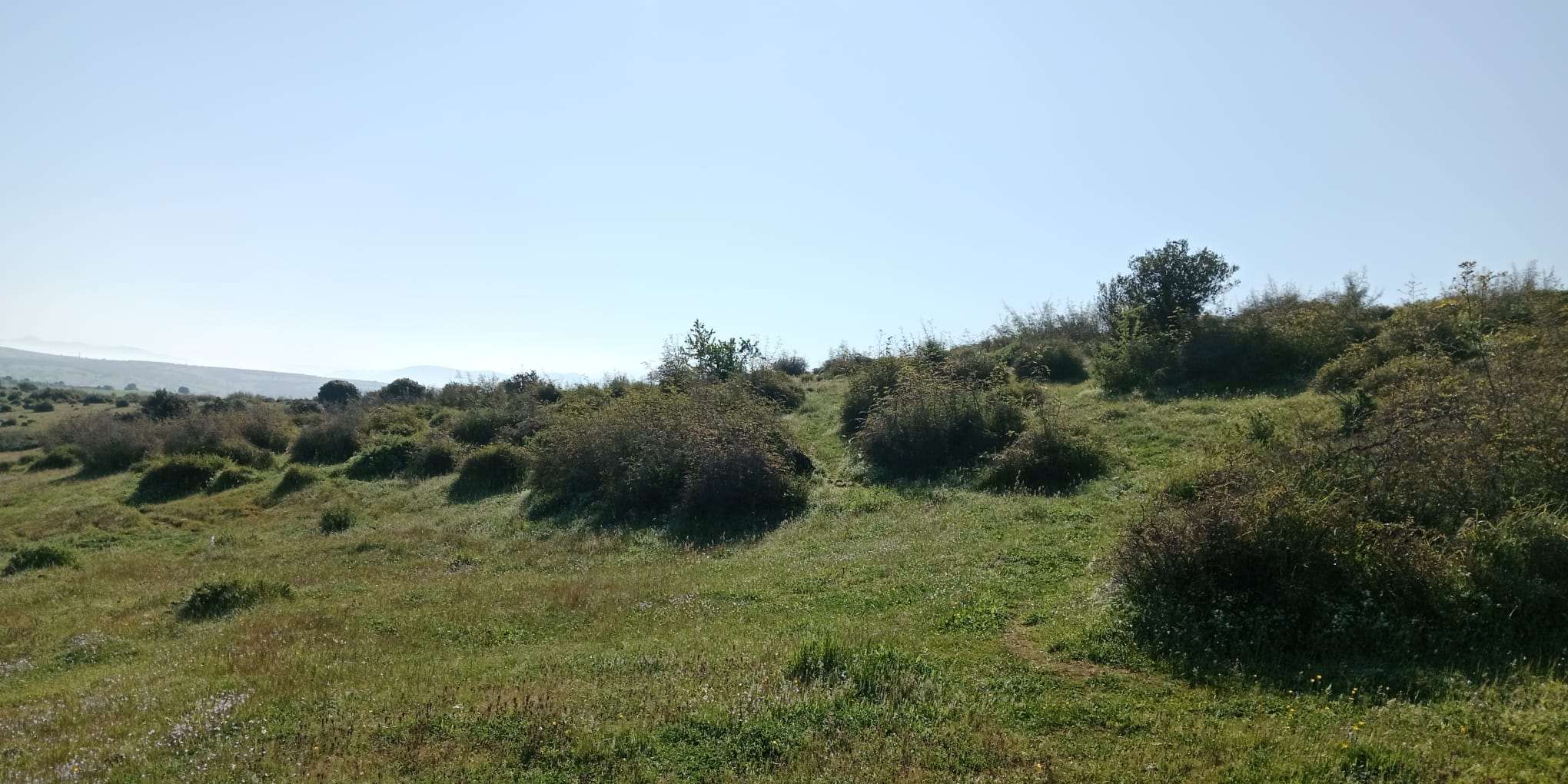 Rolling hills across the Çınarköy land, with distant coastal mountains