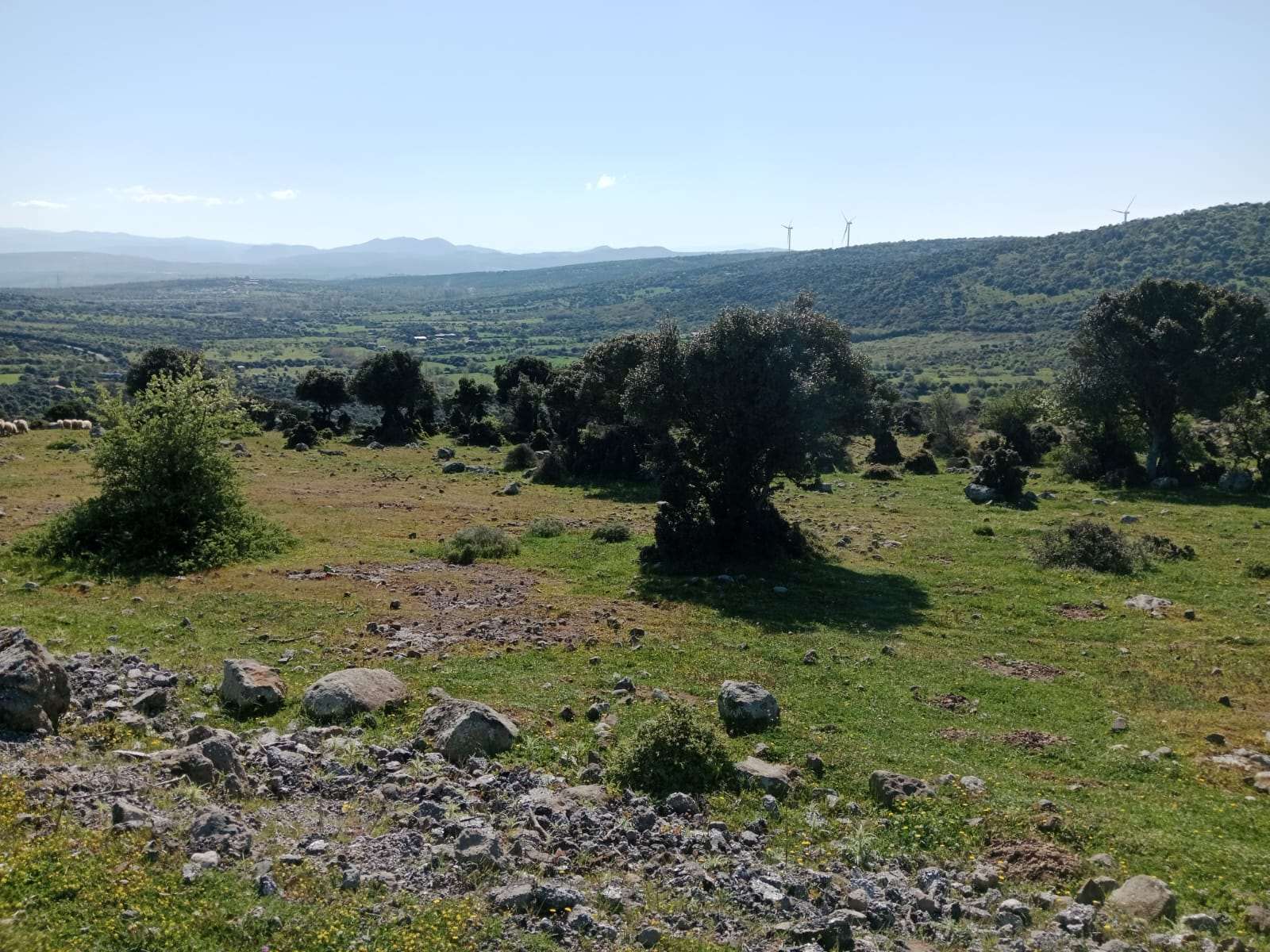 Valley view from the land with wind turbines on the ridgeline